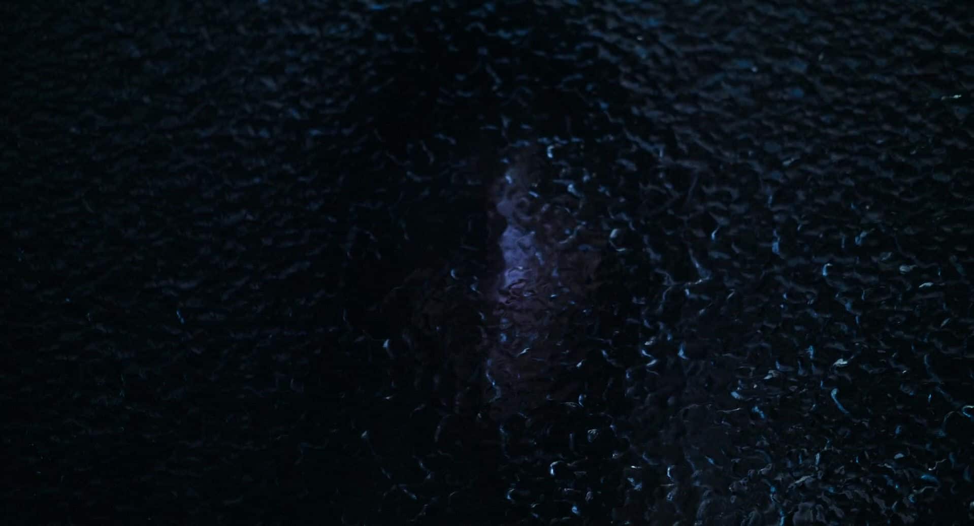 2122.jpg