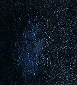 2110.jpg