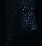 2119.jpg
