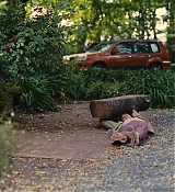 2945.jpg