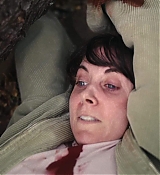 2951.jpg